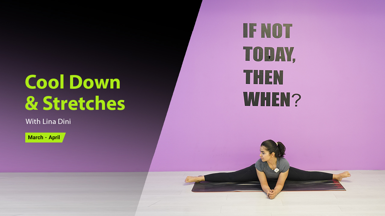 Cool Down & Stretches