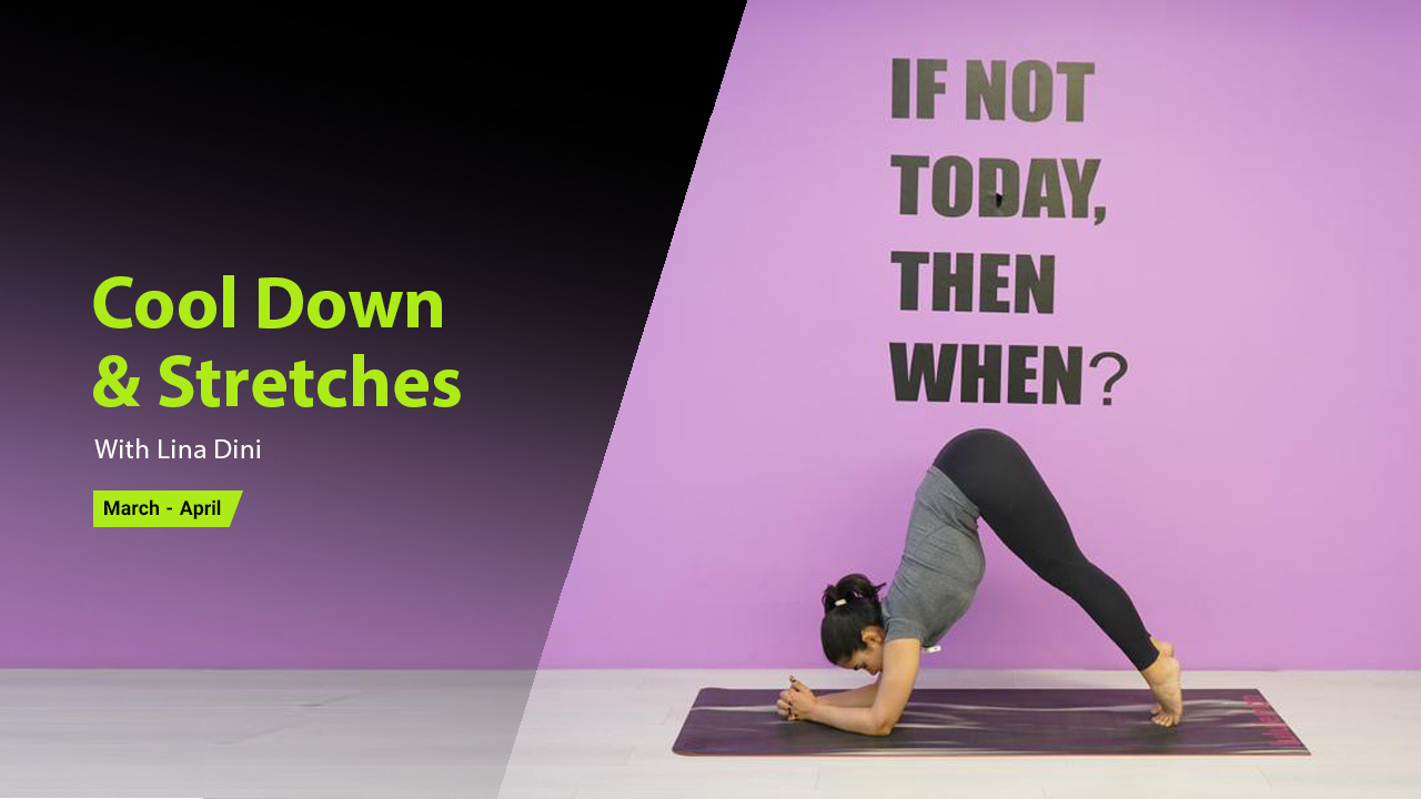 Cool Down & Stretches