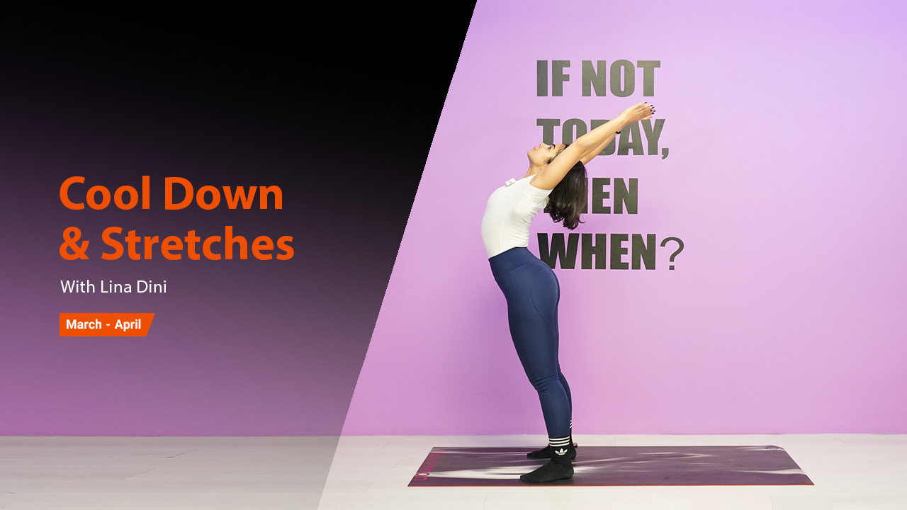 Cool Down & Stretches