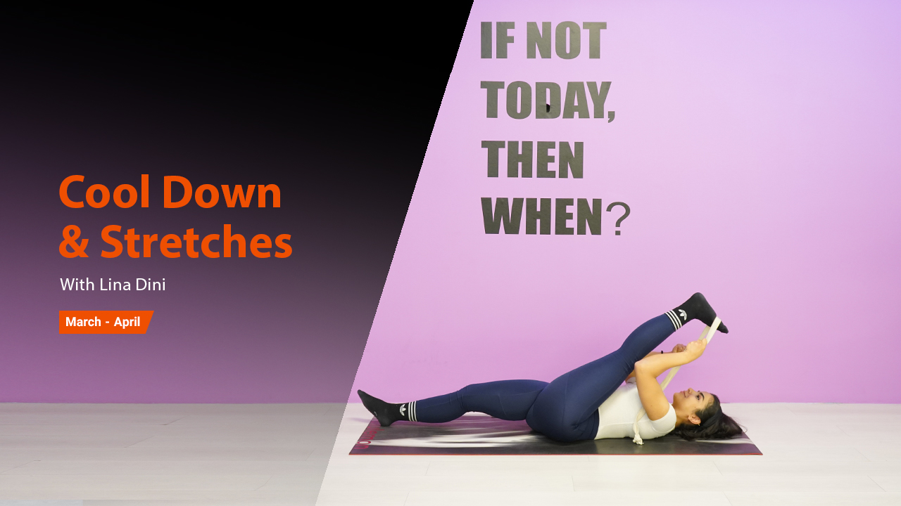 Cool Down & Stretches