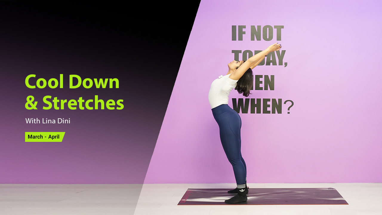 Cool Down & Stretches