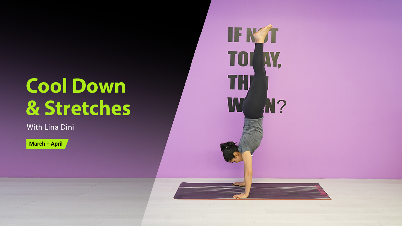 Cool Down & Stretches