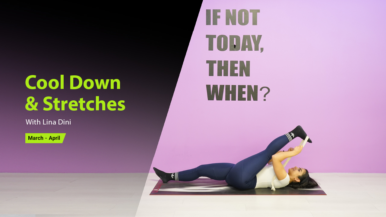 Cool Down & Stretches